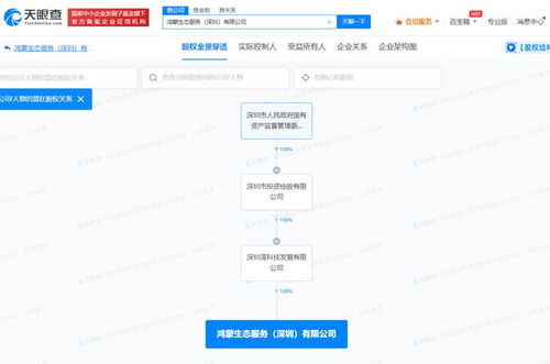 國資入局鴻蒙生態 深投控成立專業服務公司，強化數據處理與存儲能力